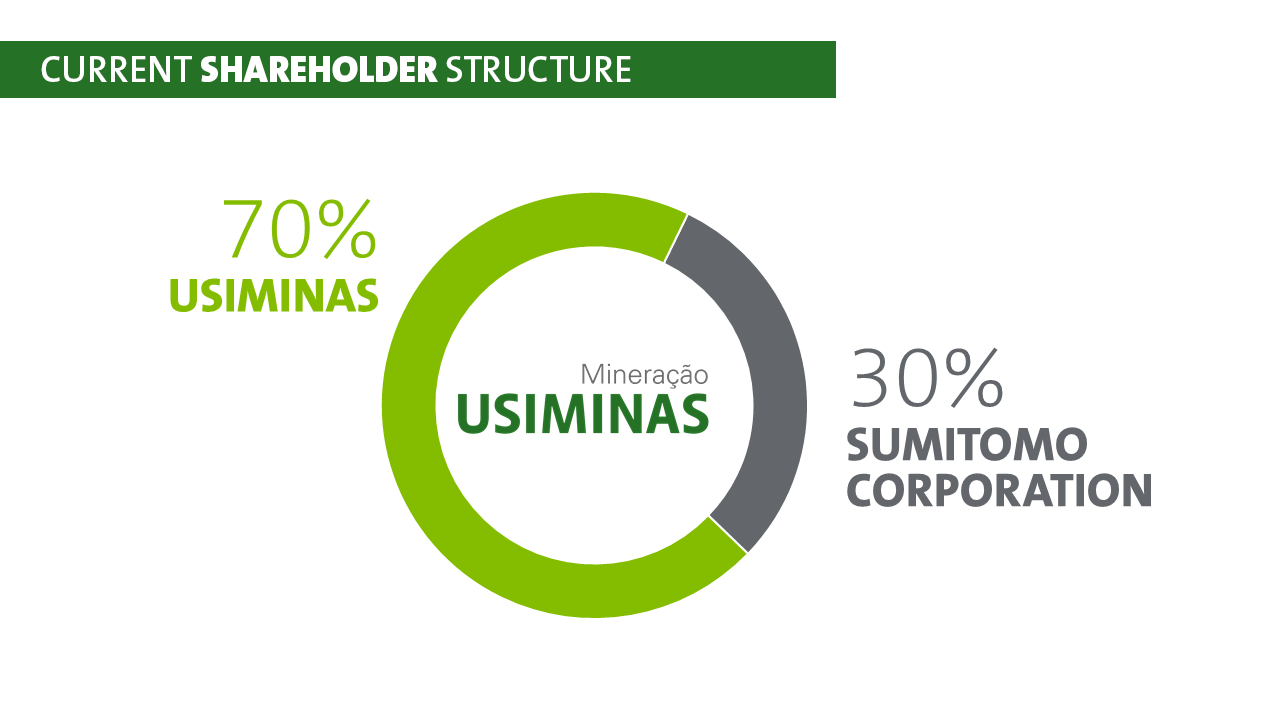 Shareholder structure